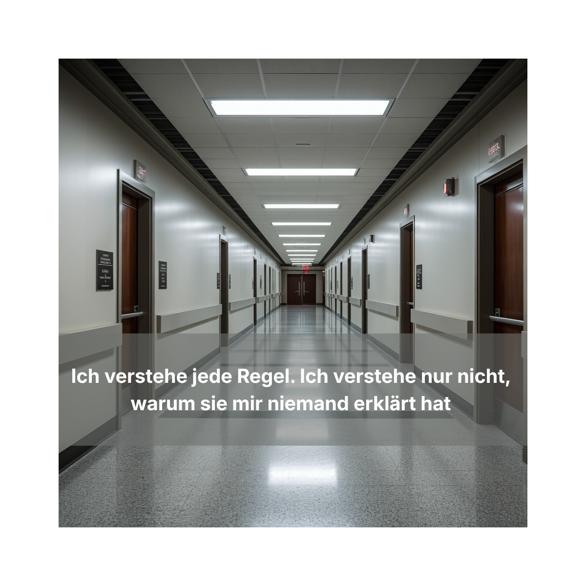 „Ich verstehe jede Regel. Ich verstehe nur nicht, warum sie mir niemand erklärt hat.”